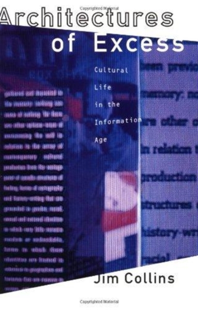 Architectures of Excess : Cultural Life in the Information Age, Paperback / softback Book