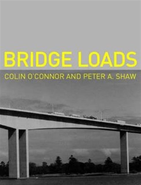 Bridge Loads : An International Perspective, Hardback Book