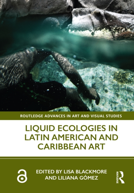 Liquid Ecologies in Latin American and Caribbean Art, EPUB eBook