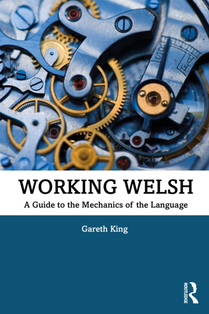 Working Welsh : A Guide to the Mechanics of the Language, PDF eBook