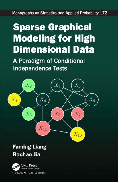 Sparse Graphical Modeling for High Dimensional Data : A Paradigm of Conditional Independence Tests, EPUB eBook