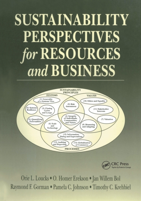 Sustainability Perspectives for Resources and Business, EPUB eBook