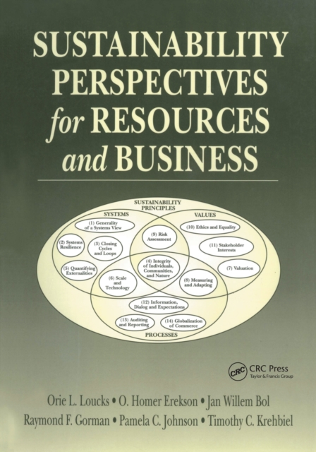 Sustainability Perspectives for Resources and Business, PDF eBook