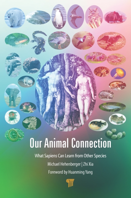 Our Animal Connection : What Sapiens Can Learn from Other Species, PDF eBook
