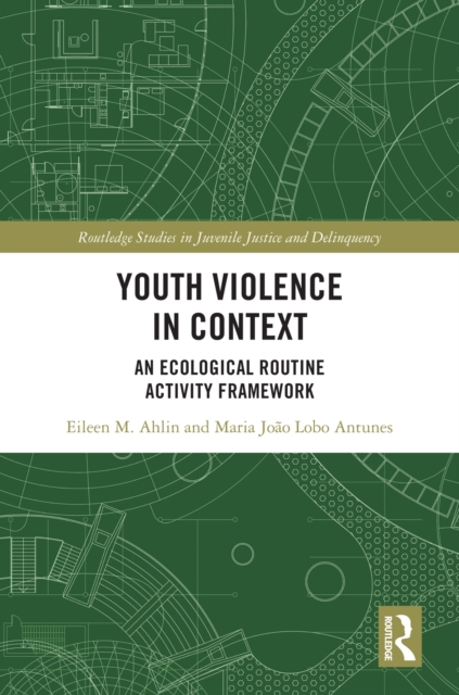 Youth Violence in Context : An Ecological Routine Activity Framework, PDF eBook