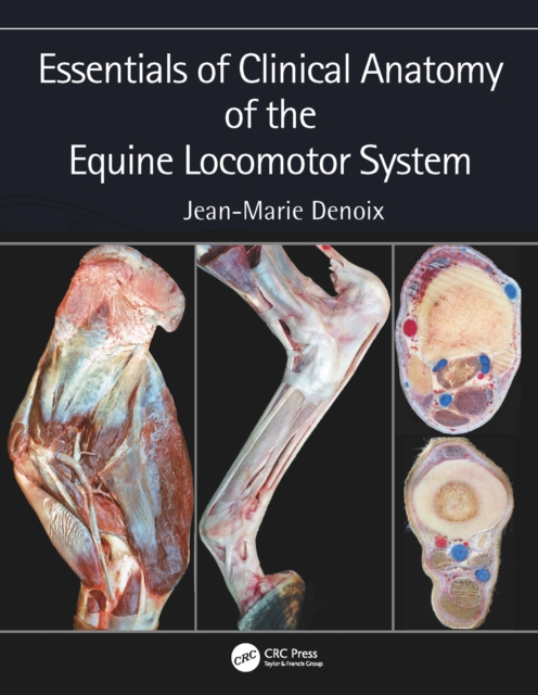 Essentials of Clinical Anatomy of the Equine Locomotor System, PDF eBook