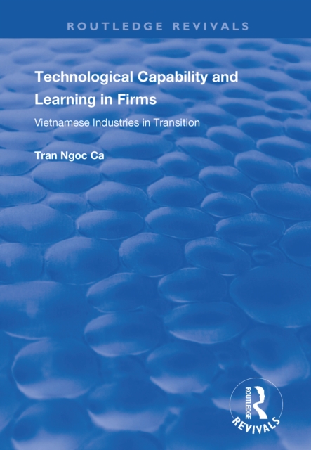 Technological Capability and Learning in Firms : Vietnamese Industries in Transition, EPUB eBook