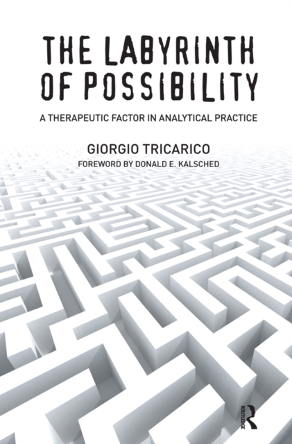 The Labyrinth of Possibility : A Therapeutic Factor in Analytical Practice, PDF eBook