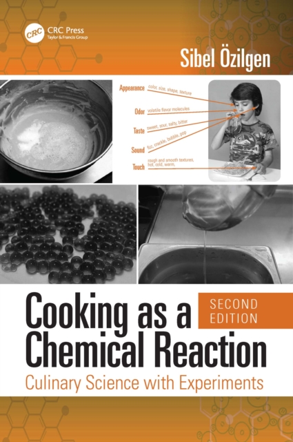 Cooking as a Chemical Reaction : Culinary Science with Experiments, EPUB eBook