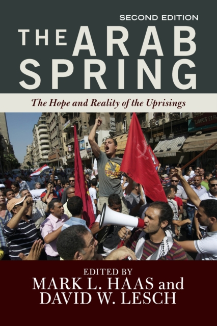 The Arab Spring : The Hope and Reality of the Uprisings, PDF eBook