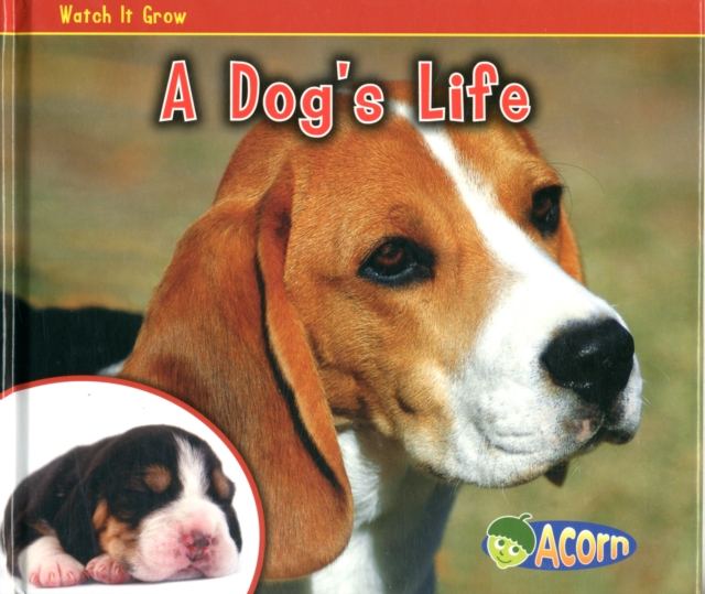 A Dogs Life, Hardback Book