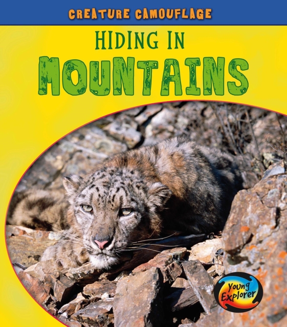 Hiding in Mountains, Hardback Book