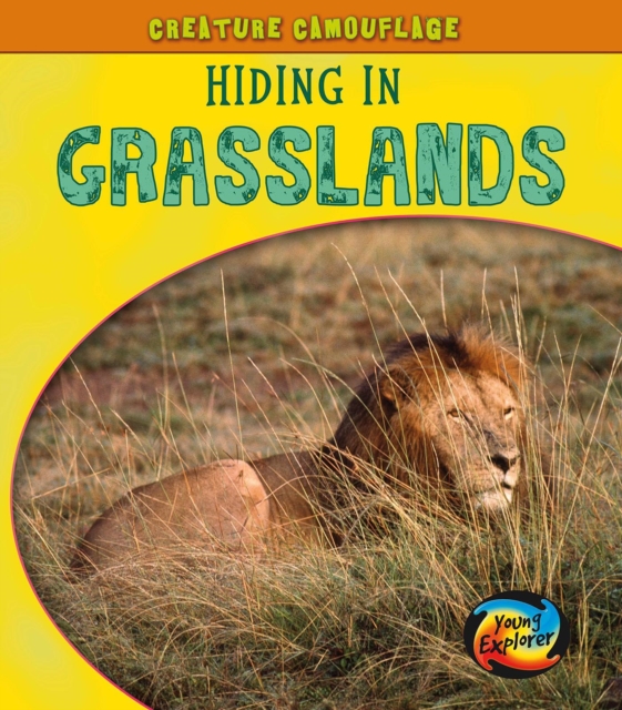 Hiding in Grasslands, Hardback Book