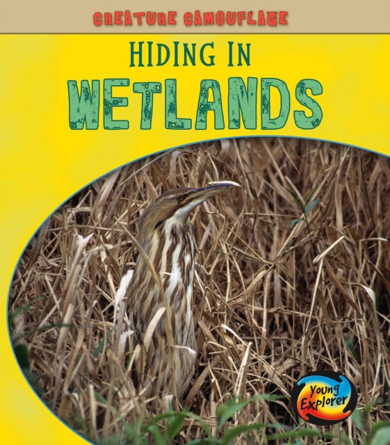 Hiding in Wetlands, Hardback Book