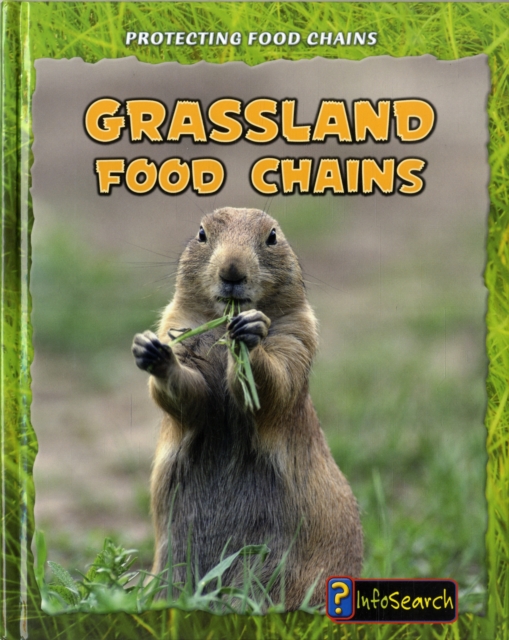 Grassland Food Chains, Hardback Book