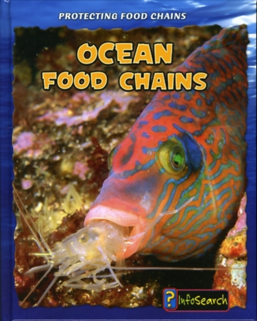 Ocean Food Chains, Hardback Book