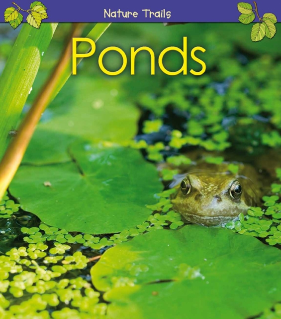 Ponds, Hardback Book
