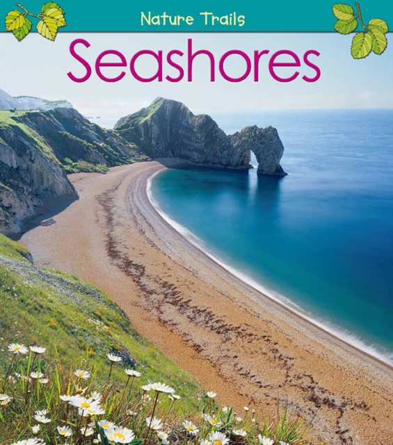 Seashores, Hardback Book