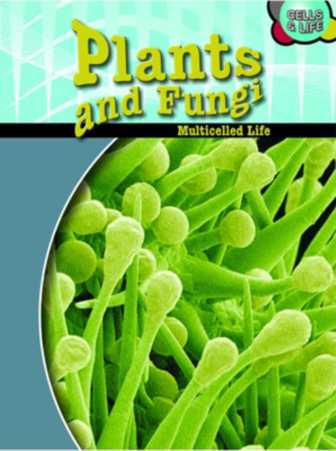 Plants and Fungi, Hardback Book