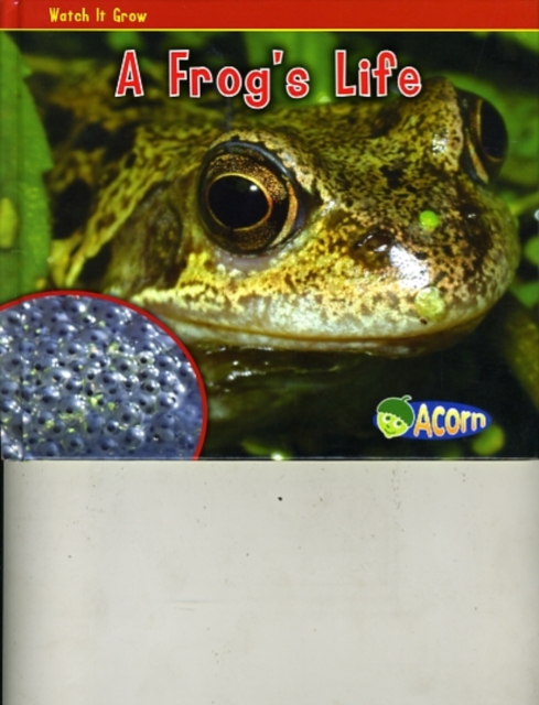 A Frog's Life, Hardback Book