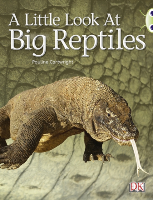 Bug Club Non-fiction Blue (KS1) B/1B A Little Look of Reptiles 6-pack, Multiple-component retail product Book