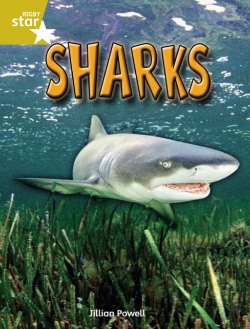Rigby Star Independent Year 2 Gold Non Fiction Sharks Single, Paperback / softback Book