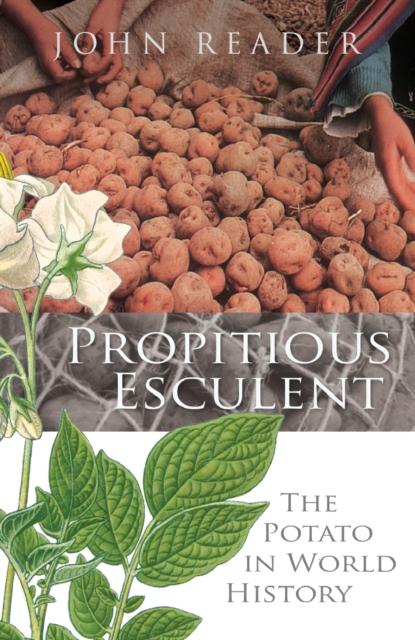 Propitious Esculent : The Potato in World History, Paperback / softback Book