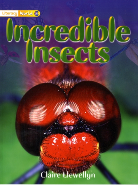 Literacy World Non-Fiction Stage 1 Incredible Insects, Paperback / softback Book