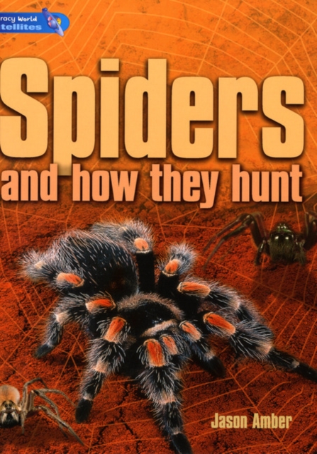 Literacy World Satellites Non Fiction Stage 4 Guided Reading Cards : Spiders (and How They Hunt) Framework 6 Pack, Mixed media product Book