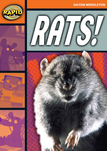 Rapid Reading: Rats! (Stage 4, Level 4B), Paperback / softback Book