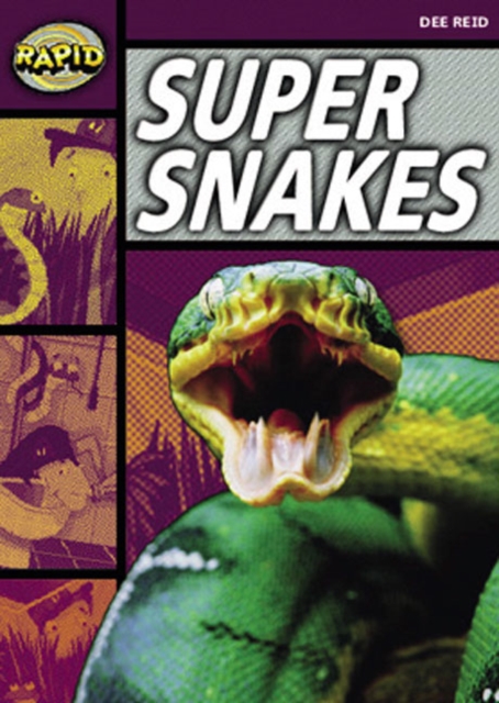 Rapid Stage 1 Set A Reader Pack: Super Snakes (Series 1), Multiple copy pack Book