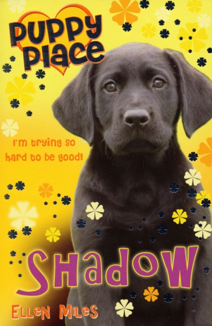 Shadow, Paperback / softback Book