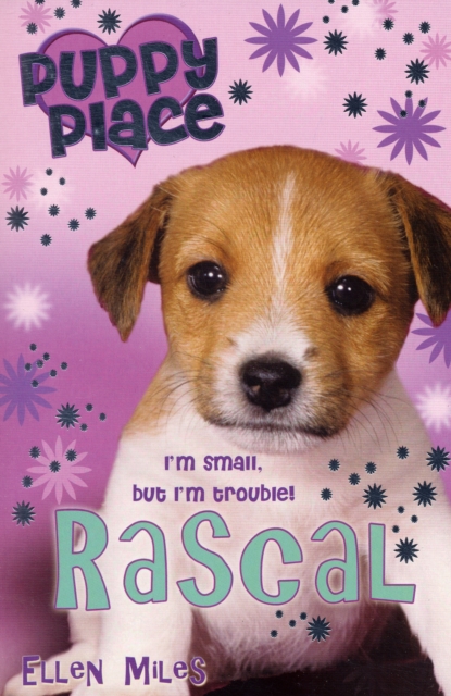 Rascal, Paperback / softback Book