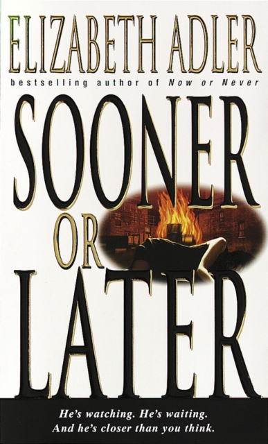 Sooner or Later : A Novel, Paperback / softback Book