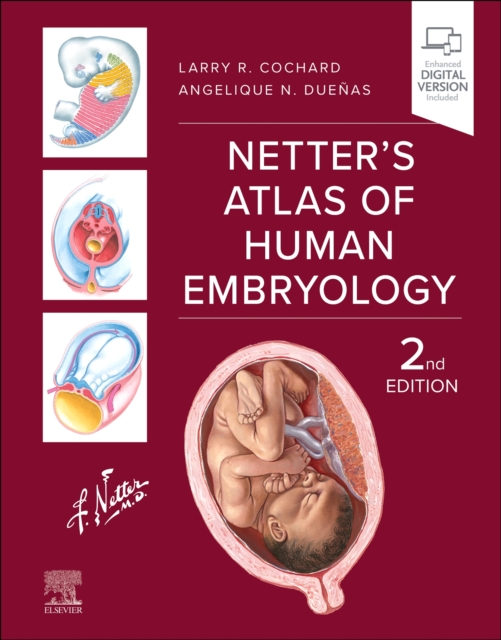 Netter's Atlas of Human Embryology, Paperback / softback Book