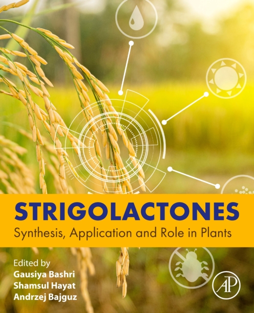 Strigolactones : Synthesis, Application and Role in Plants, Paperback / softback Book