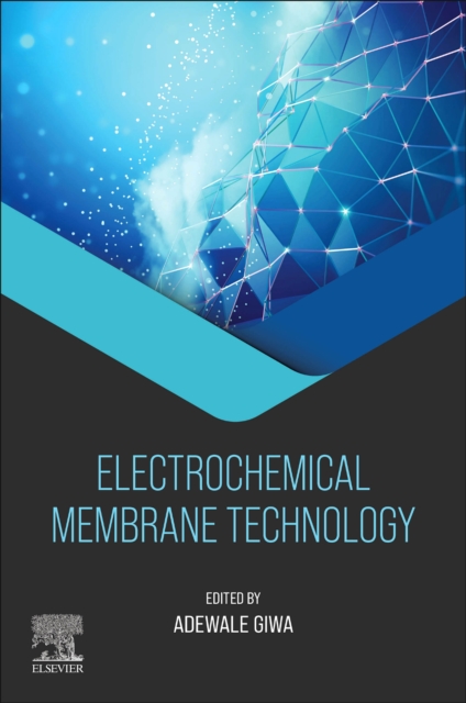 Electrochemical Membrane Technology, Paperback / softback Book