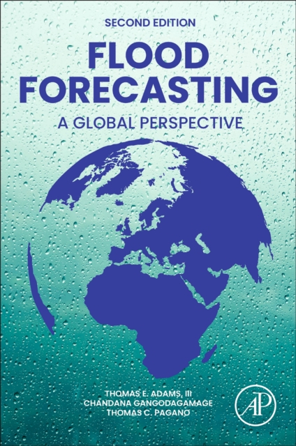 Flood Forecasting : A Global Perspective, Paperback / softback Book