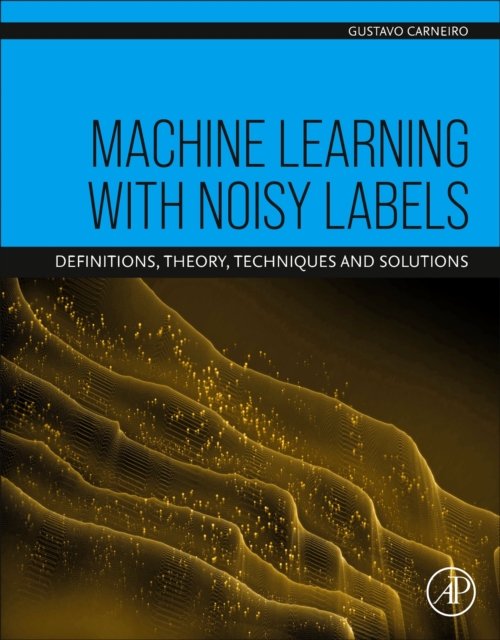 Machine Learning with Noisy Labels : Definitions, Theory, Techniques and Solutions, Paperback / softback Book