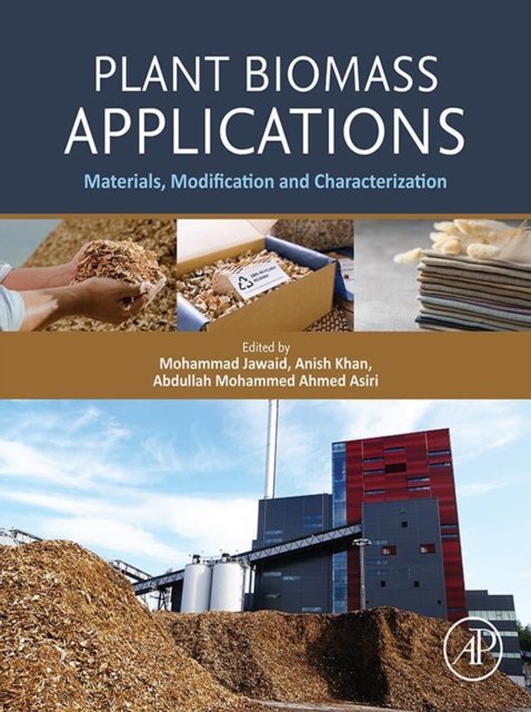 Plant Biomass Applications : Materials, Modification and Characterization, EPUB eBook