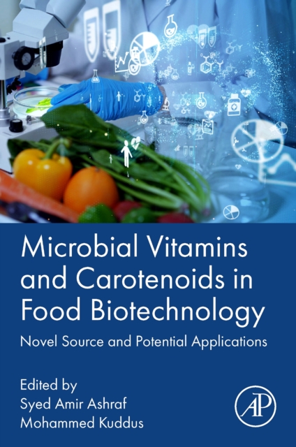 Microbial Vitamins and Carotenoids in Food Biotechnology : Novel Source and Potential Applications, Paperback / softback Book