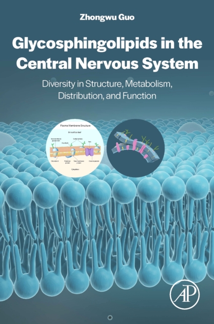 Glycosphingolipids in the Central Nervous System : Diversity in Structure, Metabolism, Distribution, and Function, Paperback / softback Book