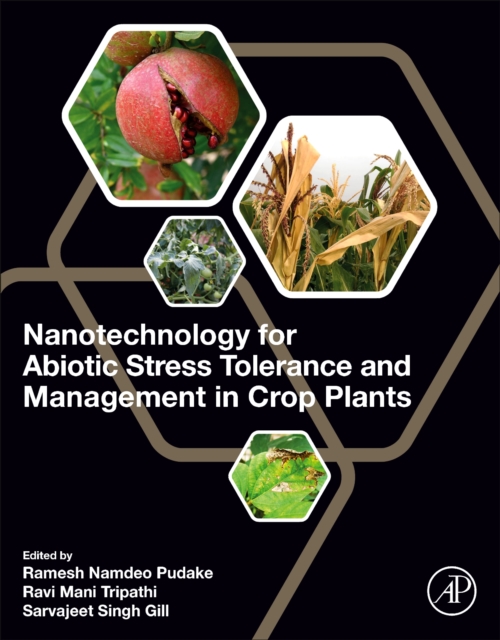Nanotechnology for Abiotic Stress Tolerance and Management in Crop Plants, Paperback / softback Book
