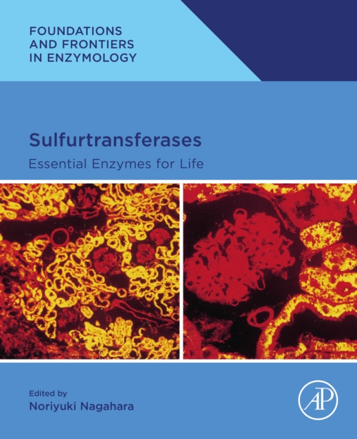 Sulfurtransferases : Essential Enzymes for Life, EPUB eBook