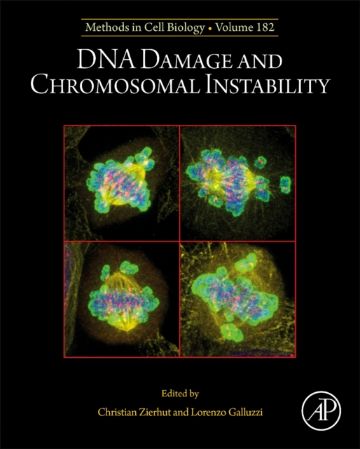 DNA Damage and Chromosomal Instability : Volume 182, Hardback Book