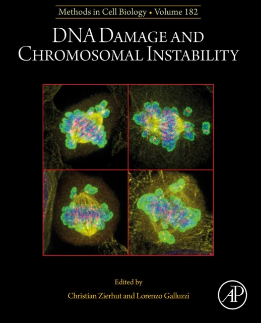 DNA Damage and Chromosomal Instability, EPUB eBook