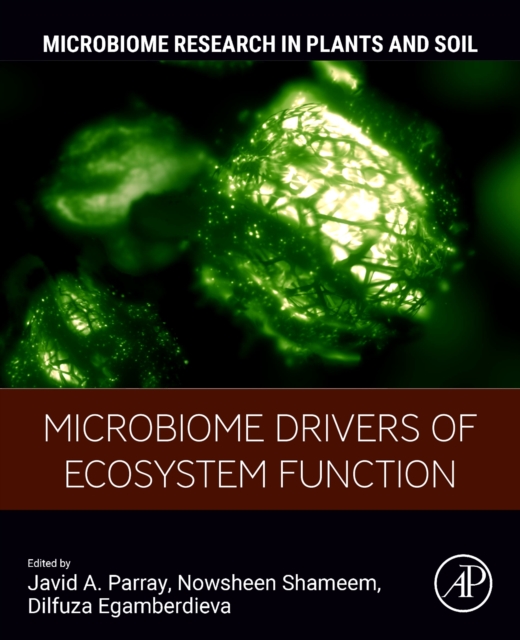 Microbiome Drivers of Ecosystem Function, Paperback / softback Book