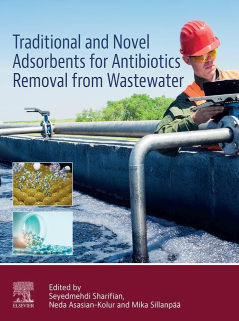 Traditional and Novel Adsorbents for Antibiotics Removal from Wastewater, EPUB eBook