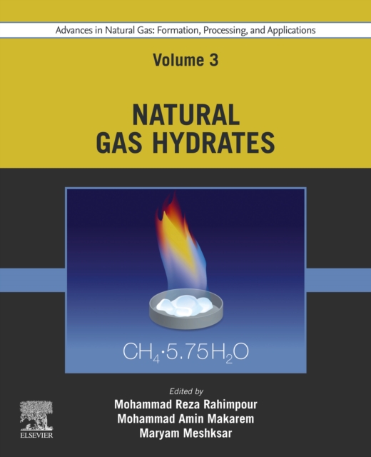Advances in Natural Gas: Formation, Processing, and Applications. Volume 3: Natural Gas Hydrates, EPUB eBook