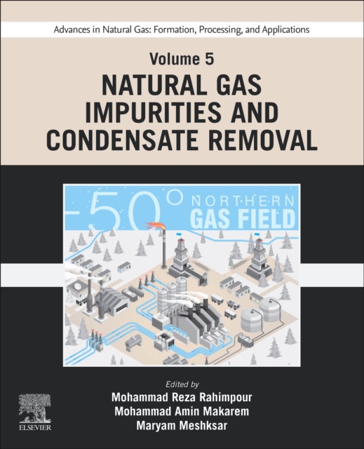 Advances in Natural Gas: Formation, Processing, and Applications. Volume 5: Natural Gas Impurities and Condensate Removal, Paperback / softback Book